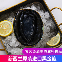 New Zealand imports black gold baum 500g only to freeze sashimi extra-large abalone deep-sea fishing Emperor Gimbaud