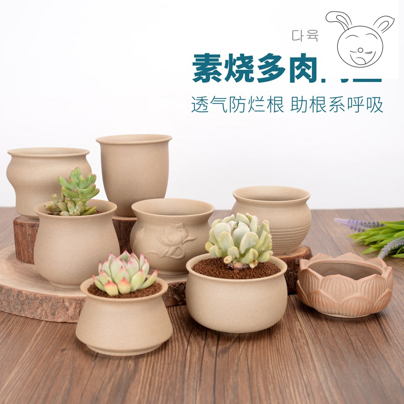 Grain ceramic meaty plant pot contracted creative DIY ceramic device cactus potting biscuit firing crock pot