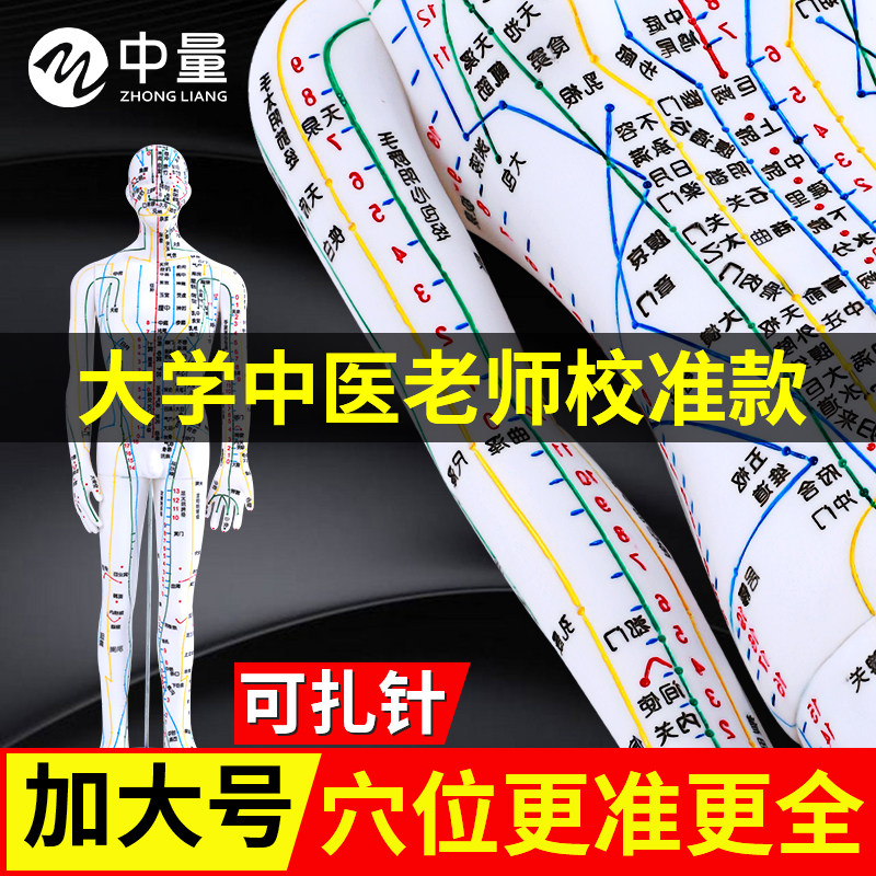 中医针灸穴位人形模型经络人体经络模型全身穴位图十二仿真铜人
