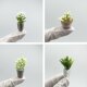 Model Flower Pots, Miniature Vases, Mini Plant Pots, Model DIY Green Plants, Sand Table Model House Decorations
