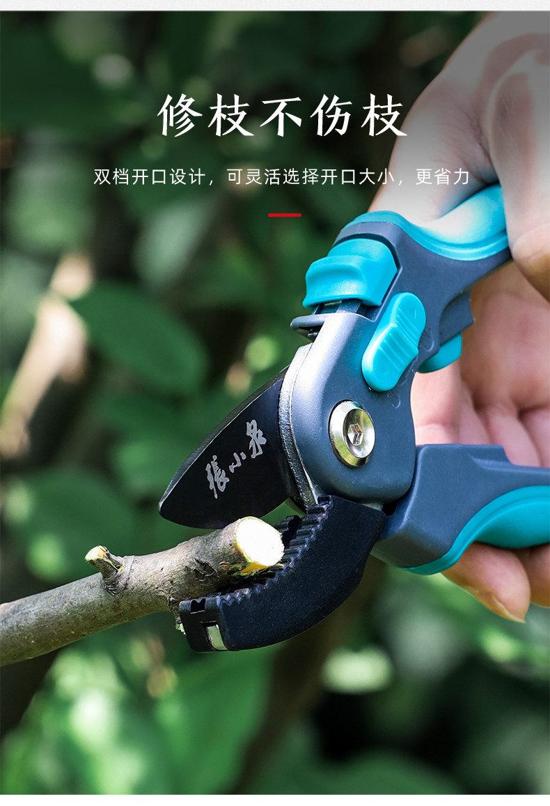 Multi -function 210_03.jpg