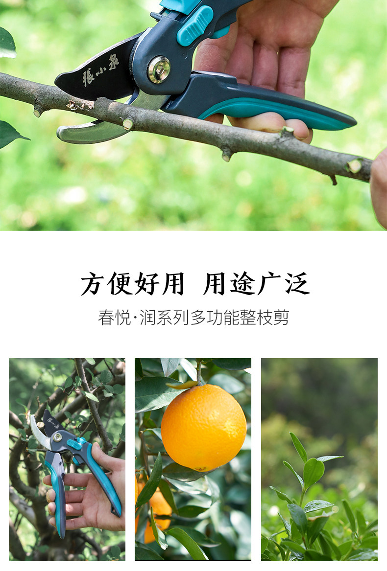 Chunyue · Запустить серии многофункциональных ветвей 215mm_03.jpg