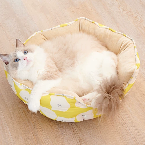 Кот мир северный кот цветок цветок кошачий кошка кровать кота кошачья подушка зима теплое кошка Запад