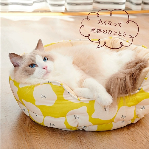 Кот мир северный кот цветок цветок кошачий кошка кровать кота кошачья подушка зима теплое кошка Запад