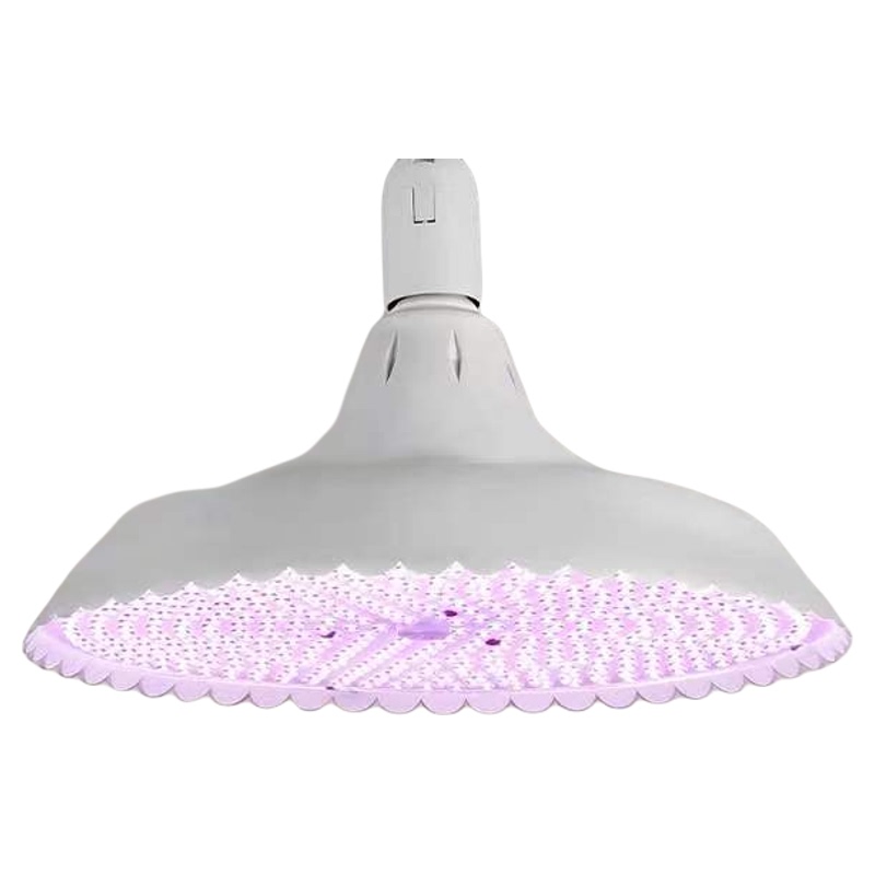 2026 New National Standard Special Lighting White Light Bulbs for the Lighting Market 2026 New National Standard Special Lighting White Light Bulbs for the Lighting Market