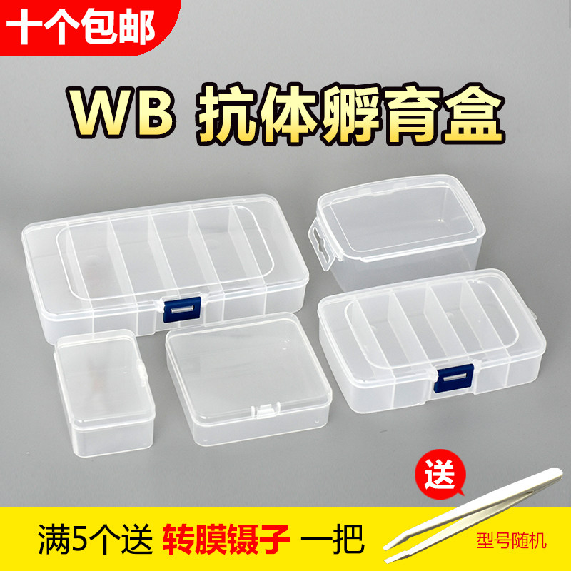 western blot 抗体孵育盒  洗膜盒 脱色盒  封闭盒 单格/5格/6格
