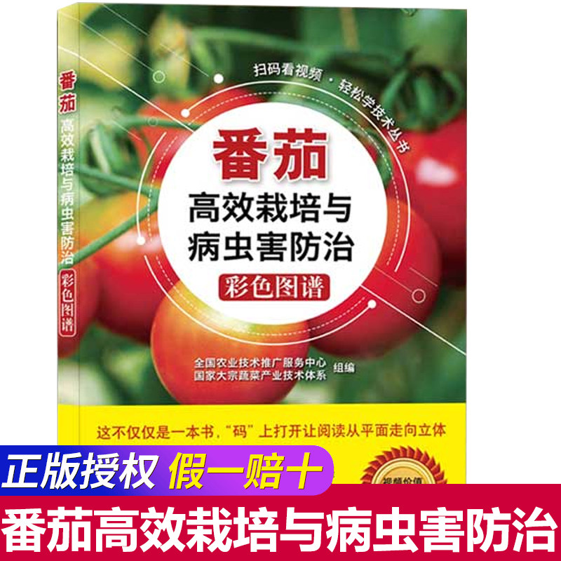 Video Tomato Efficient Culture and Pest Prevention and Control Color Map Agricultural Technology Promotion Service Center Bulk Vegetable Industry Technology System Agriculture Easy Technical Technology