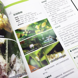 正版现货 新编柑橘病虫害诊断与防治图鉴 农业书籍 种植书籍 1500 余幅病虫害照片 收集生理病害和自然伤害等共63 种病害