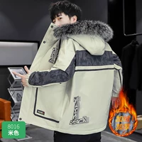 Бежевый, 8016м