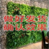 Моделирование растения стена зеленое растение зеленое растение стена стена псевдо -белокальная трава