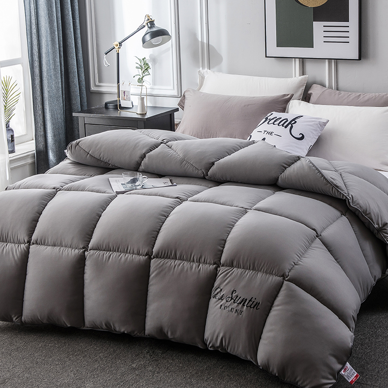 Antarctic quilt winter quilt space quilt thickened warm spring and autumn quilt dormitory quilt core silk quilt four seasons universal BB