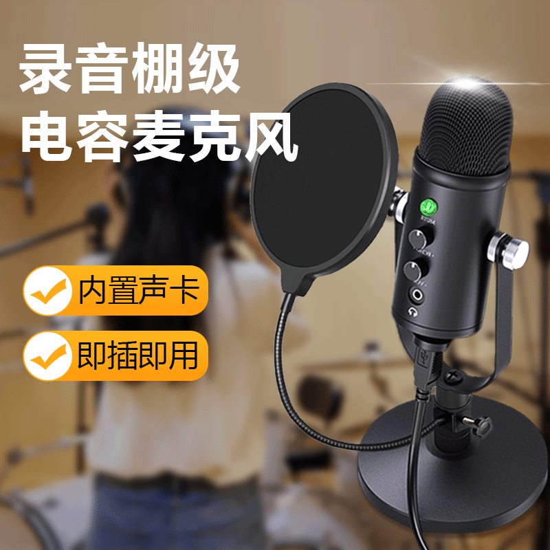 Professional dubbing microphone Himalayan recording equipment live dedicated condenser microphone computer audio book set - Taobao