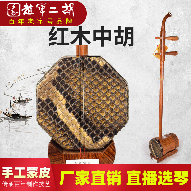 赵军二胡中胡,大音量演奏神器?🎵深度解析-中胡-淘宝好物网