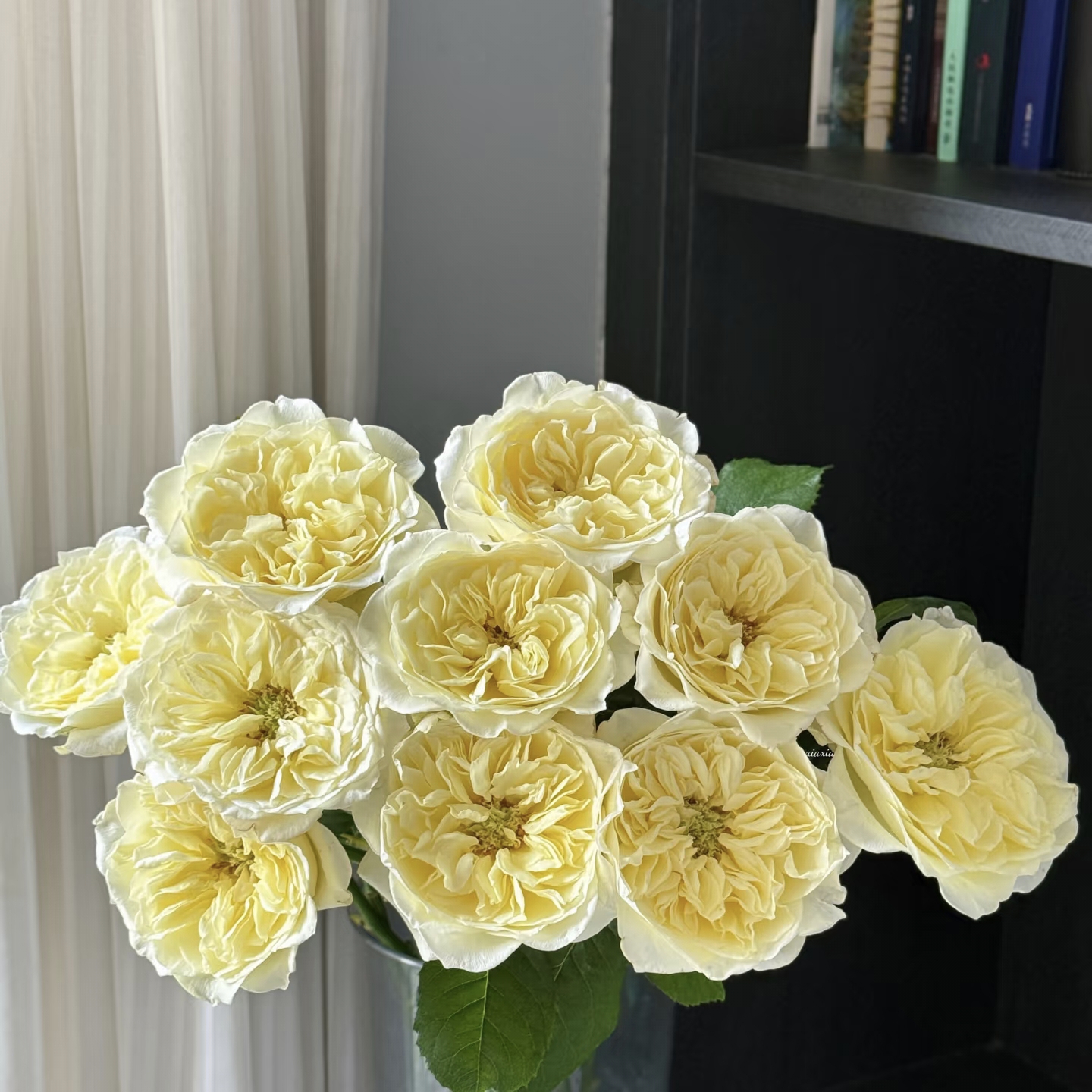 御赏豆腐：从餐桌到灵魂的美味传承