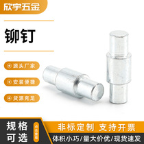 Stainless steel double-headed step rivets straight screw step rivets double-headed columns positioning pin bearing kingpin