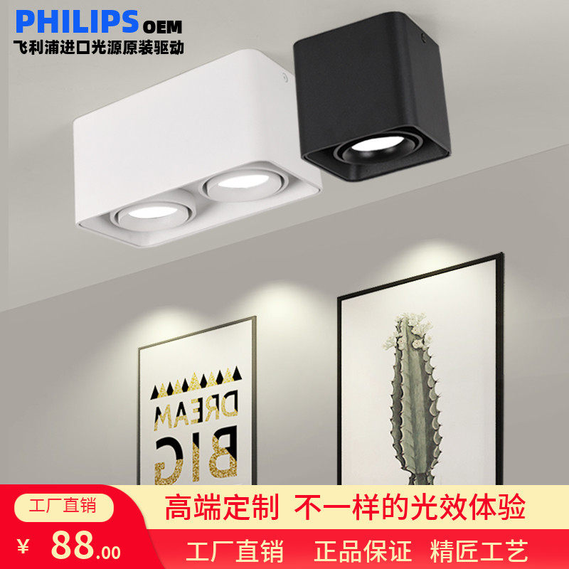 Philips CONFIGURATION DOUBLE HEAD LIGHT FITTING CYLINDER LAMP SPOTLIGHT ROOM DINING ROOM DINING ROOM DINING ROOM HIGH DISPLAY COLOR NO MAIN LAMP SPECIAL EYE PROTECTION LAMP