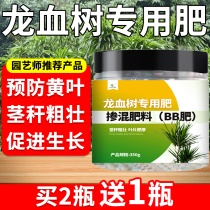 Special Fat Dragon of Longblood Tree Fertilizer Fertilizer Fertilizer Fertilizer Fertilizer fertilizer Fertilizer Nutrient fertilizer Fertilizer Nutrient fertilizer Fertilizer Green Leaf