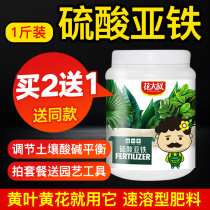 Uncle Flower Ferrous Sulfate Flower with Flower Gardenia Iron Tree Milan Camellia Jasmine Special Acid Flower Fertilizer