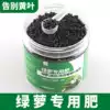Golden Ge fertilizer special fertilizer potted evergreen bamboo paradise bird of paradise Chlorophyll turtle back taro household universal compound fertilizer