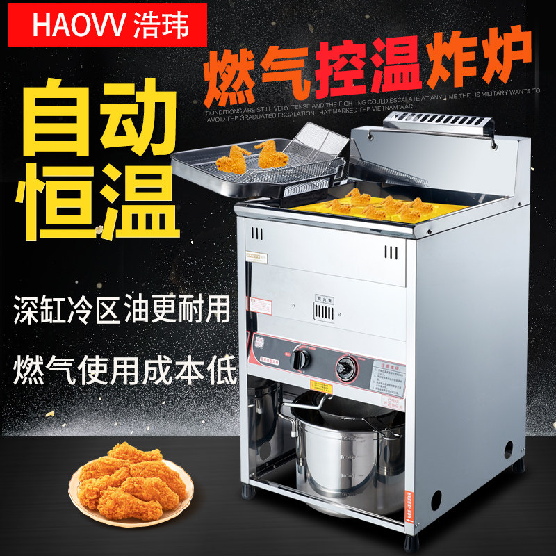 Commercial large capacity vertical fryer constant temperature stall fritter machine natural gas frying oven skewer fries chicken steak machine