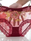 Сексуальные трусы, кружевные штаны, вышивка, 3 шт., с вышивкой, средняя посадка, большой размер