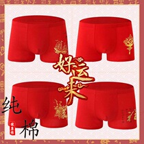 2-pack Hongyun fortune year of life mens underwear Cotton sexy red boxer shorts underpants married men