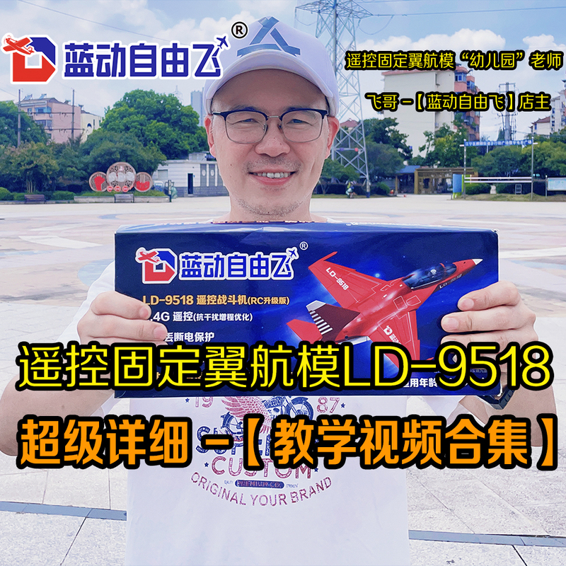 【Blue Motion Free Flight】Remote Control Ld-9518 Fixed-Wing Vertical Tail Servo Steering Remote Control Breeze Model Aircraft