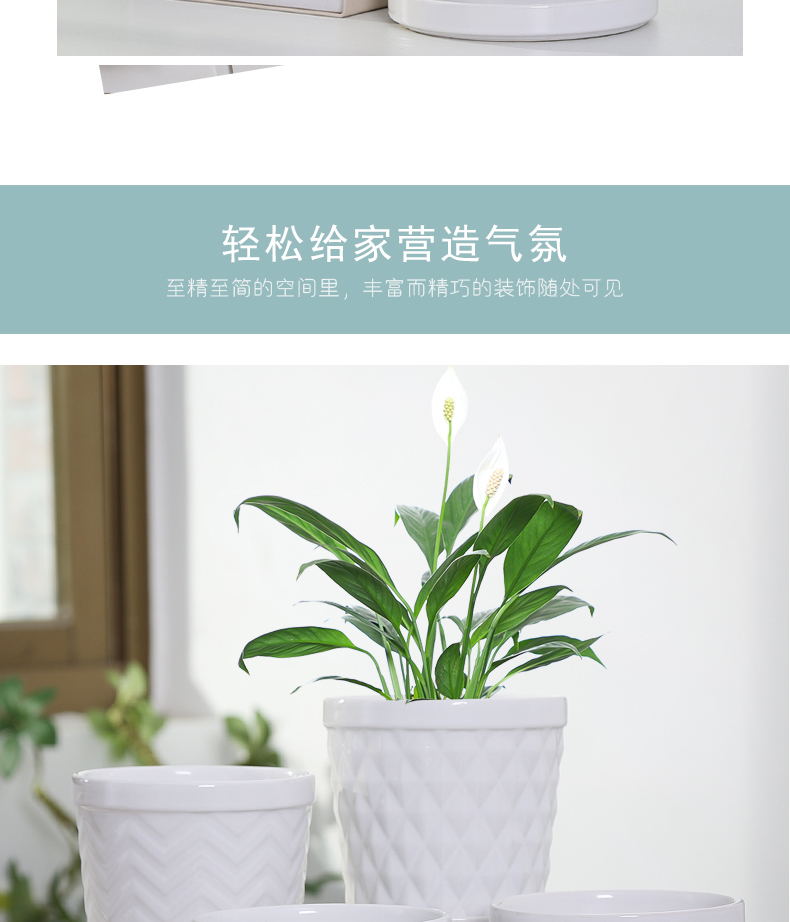 Flowerpot ceramic specials in large number contracted household money plant bracketplant heavy fleshy white butterfly orchid with tray