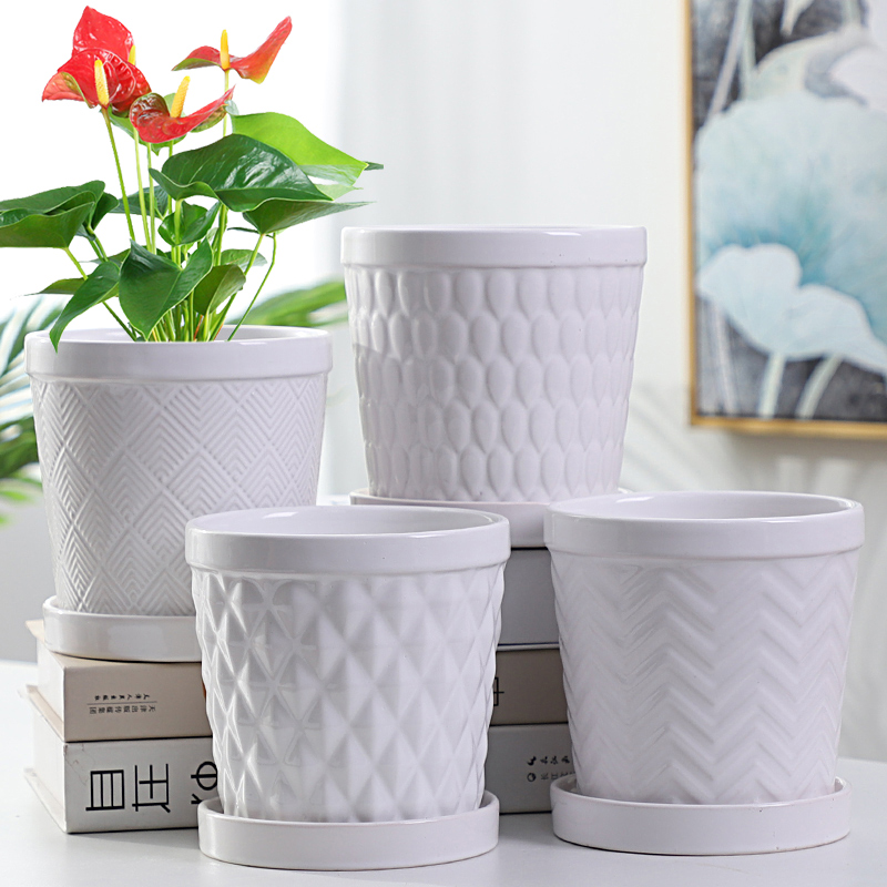 Flowerpot ceramic specials in large number contracted household money plant bracketplant heavy fleshy white butterfly orchid with tray
