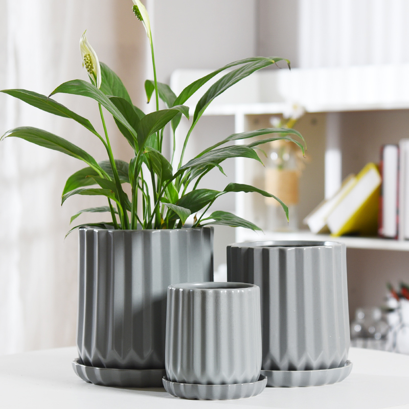 Flowerpot ceramic contracted white Nordic style take tray other orchids green plant most creative move, the flower pot