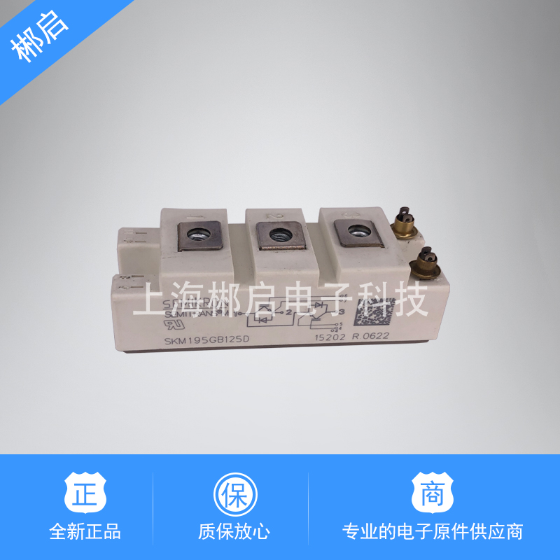 Brand new original supply New power module SKM195GB125D spot supply