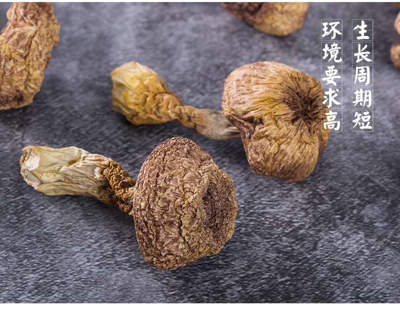 【菌益 】姬松茸108g煲汤材料