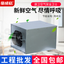 Fresh air system Strong ventilator Indoor pipe Concealed exhaust fan Commercial central DC blower