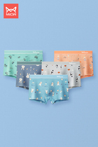 Cat Guy Pants Summer Pure Cotton Breathable Loose Cute Four Corner Shorts Teen Student Trend Flat Corner Pants