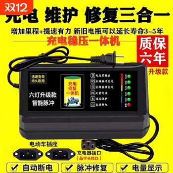 Best-selling model! battery car charger with smart power off