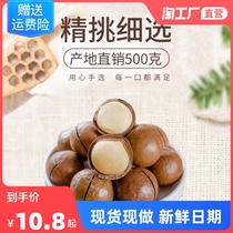 New Goods Hawaii Fruits 100g Bulk Cream Summer Fruits Whole Boxes New Goods Year Goods Disposal for Spring Festival Nuts Dried Fruits snacks