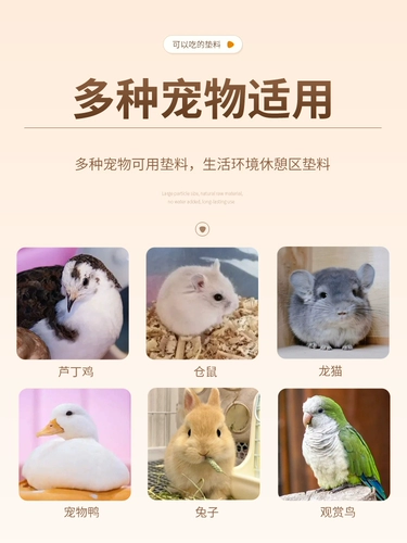 Рудин куриный ферментационный матрас перепела Kor Duck Rice Husk Кукуруза Cobn Small Pet Deodorant без пыли Специальный матрас