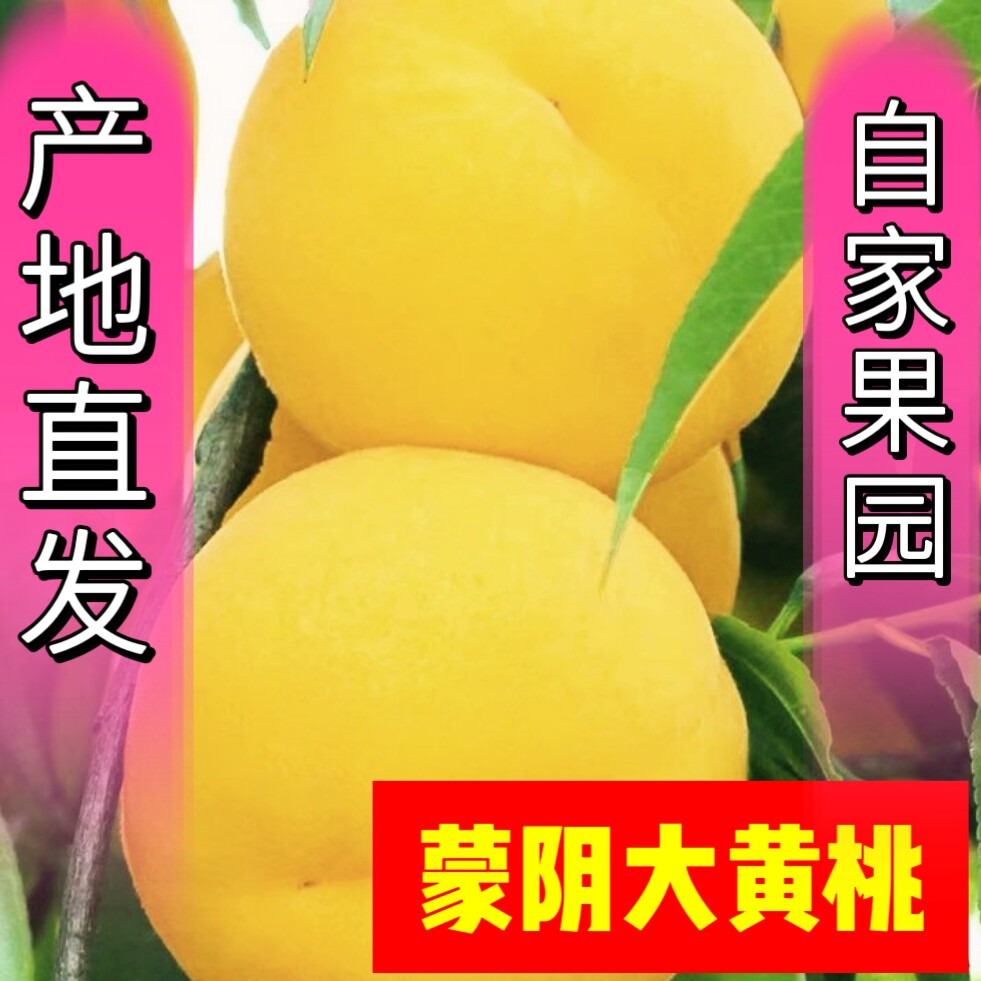 沂蒙鲜果园