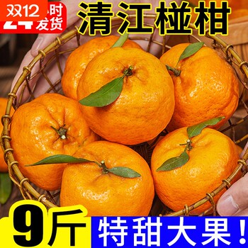 Qingjiang ponkan 9jin jin is equal to 0.5kg. the large fruit is particularly sweet and juicy.