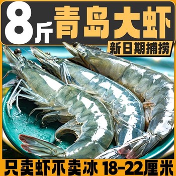 Fresh shrimps, quick-frozen, fresh extra large qingdao prawns, frozen prawns, extra large prawns, sea green shrimps, seafood and aquatic products