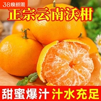 Yunnan Gaoshan Wogan свежие фрукты тонкокожие оранжевые апельсины 5-й ящик 5 сезонные цитрусовые семена Wogan не август-апельсиновые фрукты