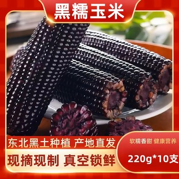 Northeastern black waxy corn, fresh waxy corn, non-gmo, sweet, vacuum-packed meal replacement sticks, vacuum-packed, ready-to-pick