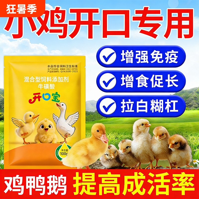Chicks That Have Hatched Are Given a Special Medicine for Young Chicks, Ducks, and Geese to Treat and Prevent Diseases, and Improve Survival Rates