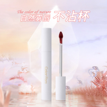 colorfans lip glaze not to fall color no cup velvet matt small crowdbrand mouth red parity student Lip Gloss