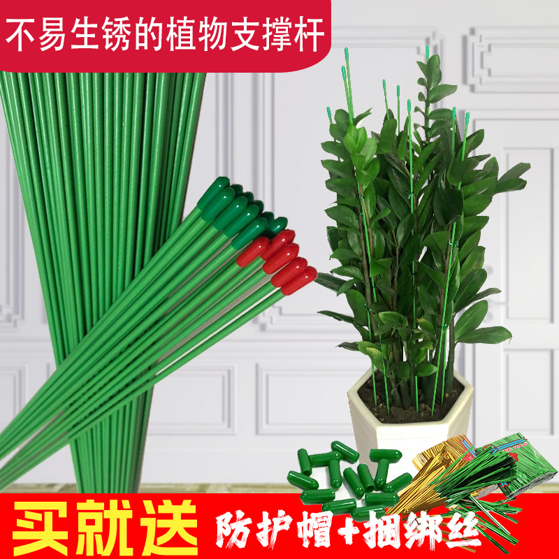 Money Tree Support Rod Plant Fixed Flower Stand Gardening Flower Pot Plant Stand Climbing Trellis
