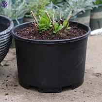 Round Net Red Orchid flowerpot modern simple plastic flowerpot special thickened potted planting pot pot container extra large hydrangea