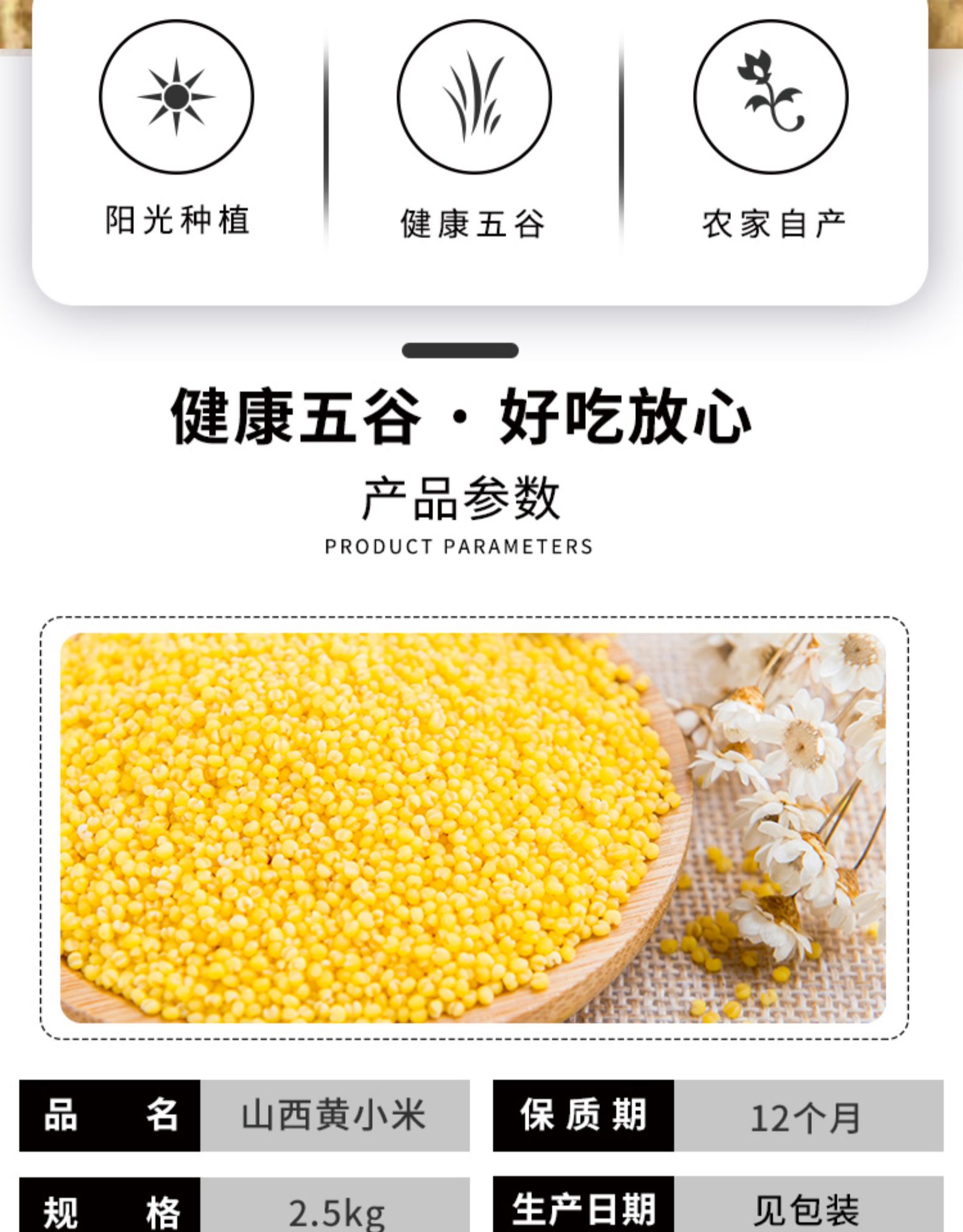 可熬出油 谷乐松 山西沁州黄小米 5斤 图2