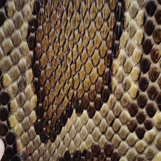 Erhu skin, python skin, Gaohu, Sihu musical instrument accessories, python head, snake skin, factory direct sales piano skin