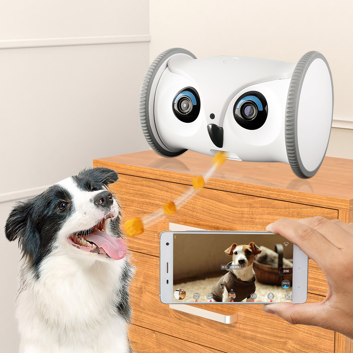 Pet intelligent automatic feeder cat tease dog feeding machine camera remote interactive monitoring companion robot