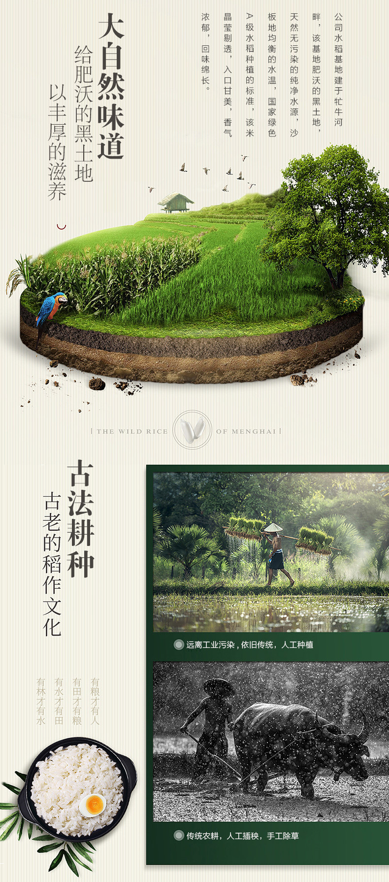 中国地理标志认证 磨盘山 五常稻花香大米 10斤 图4
